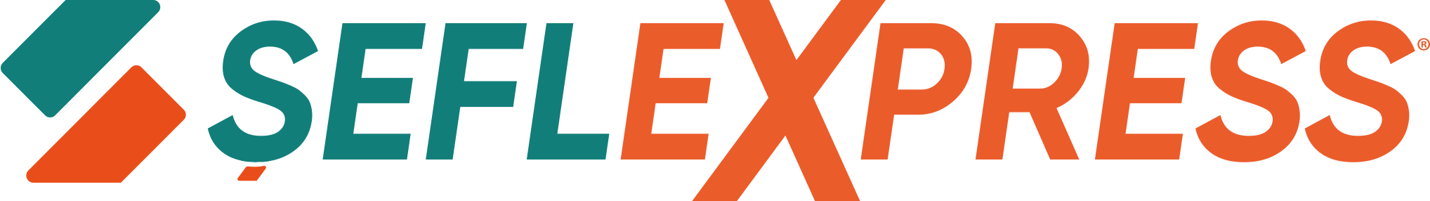 Firma Logosu